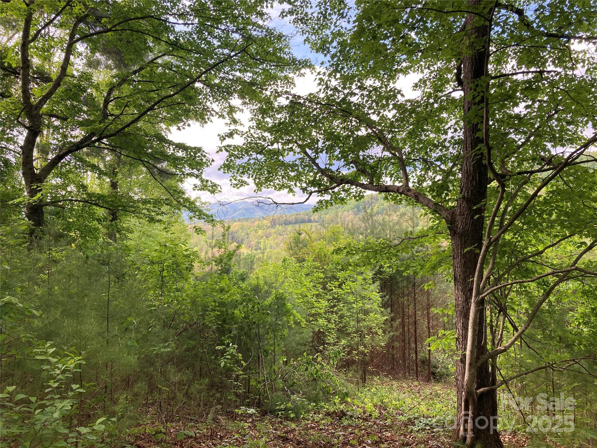 82 Seven Glens Drive Weaverville NC 28787