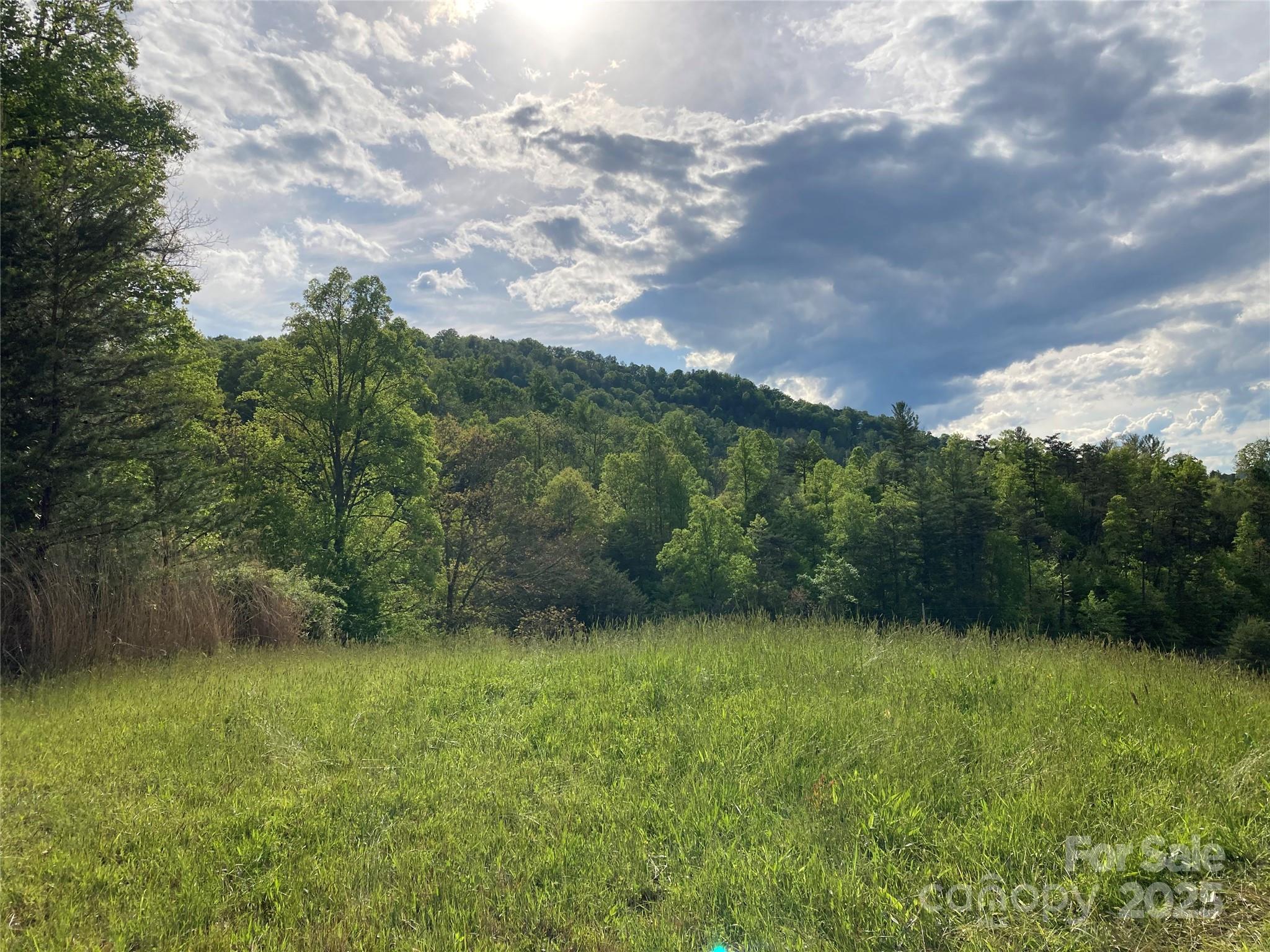 82 Seven Glens Drive Weaverville NC 28787