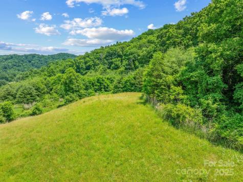 82 Seven Glens Drive Weaverville NC 28787