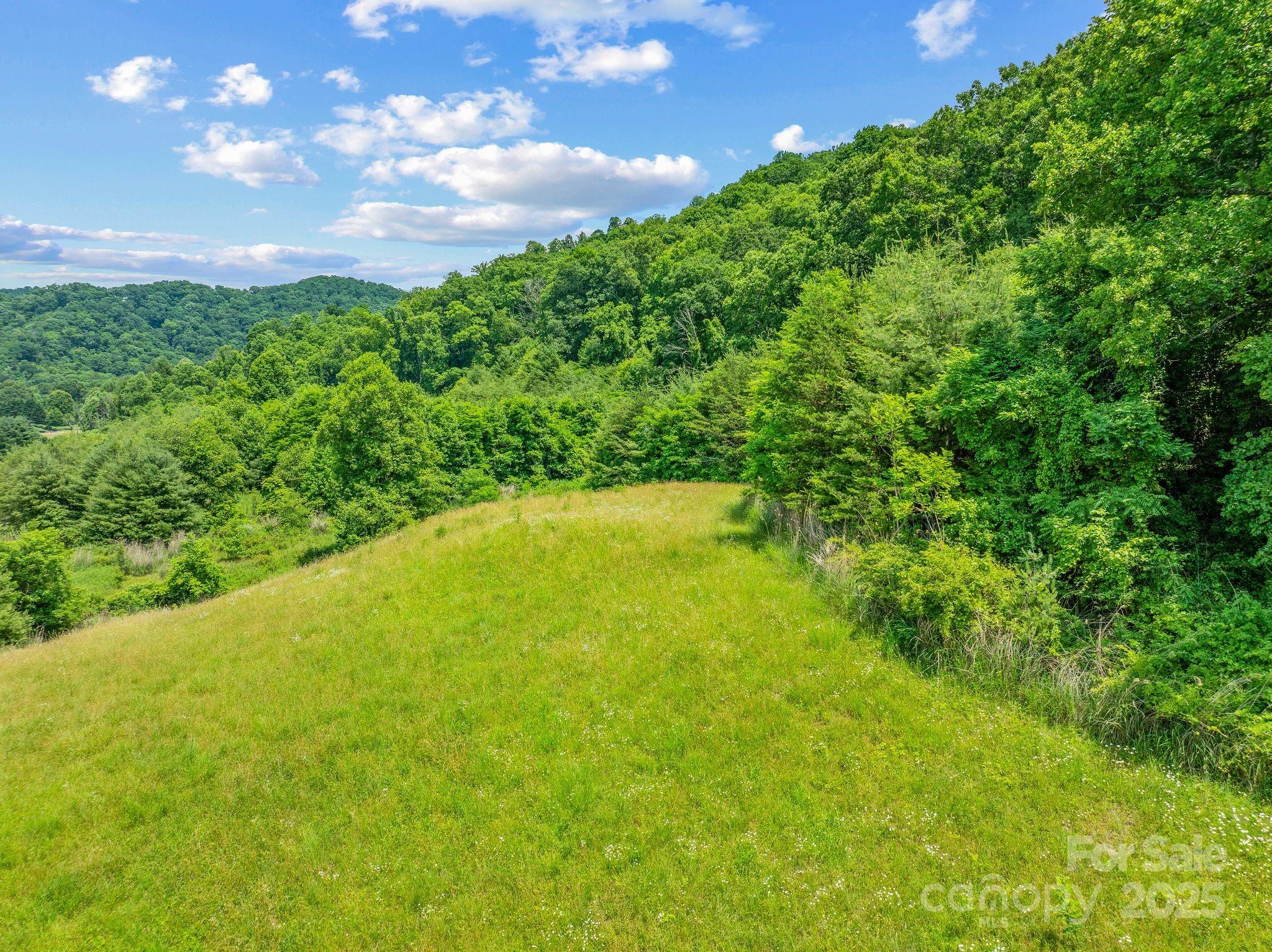 82 Seven Glens Drive Weaverville NC 28787