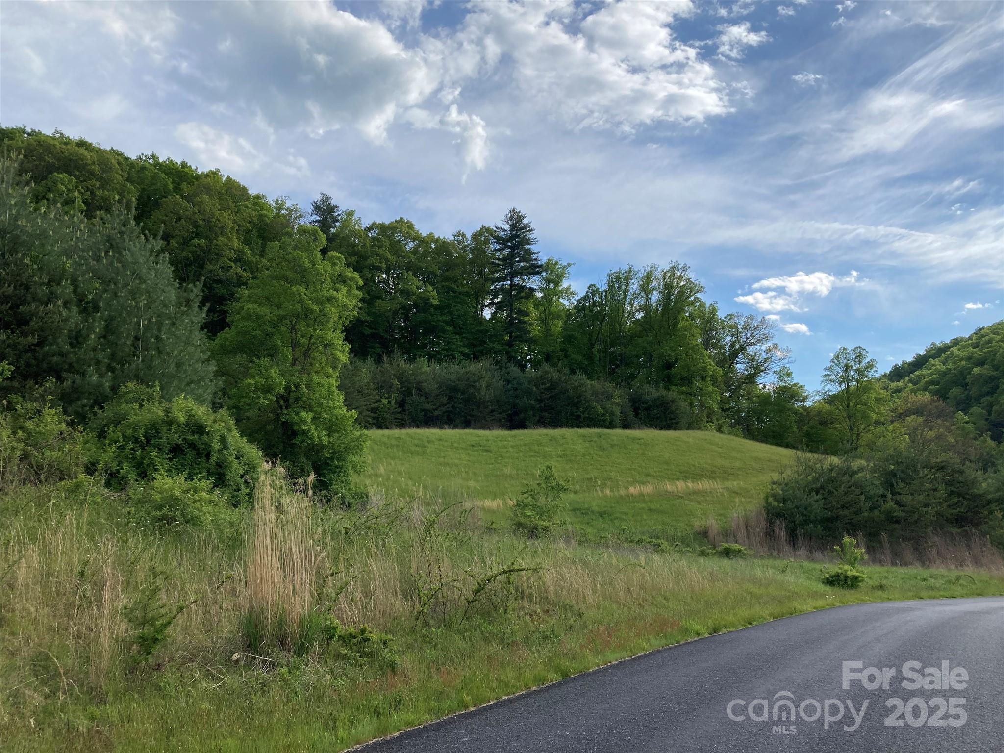 82 Seven Glens Drive Weaverville NC 28787