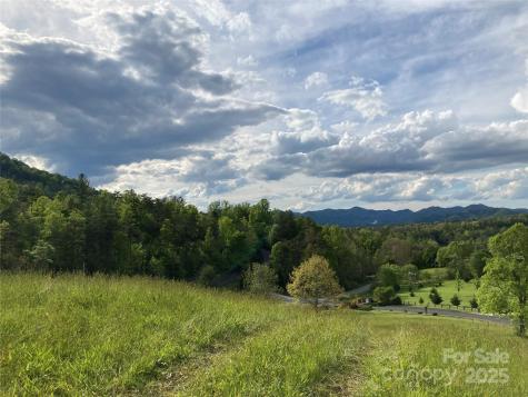 82 Seven Glens Drive Weaverville NC 28787