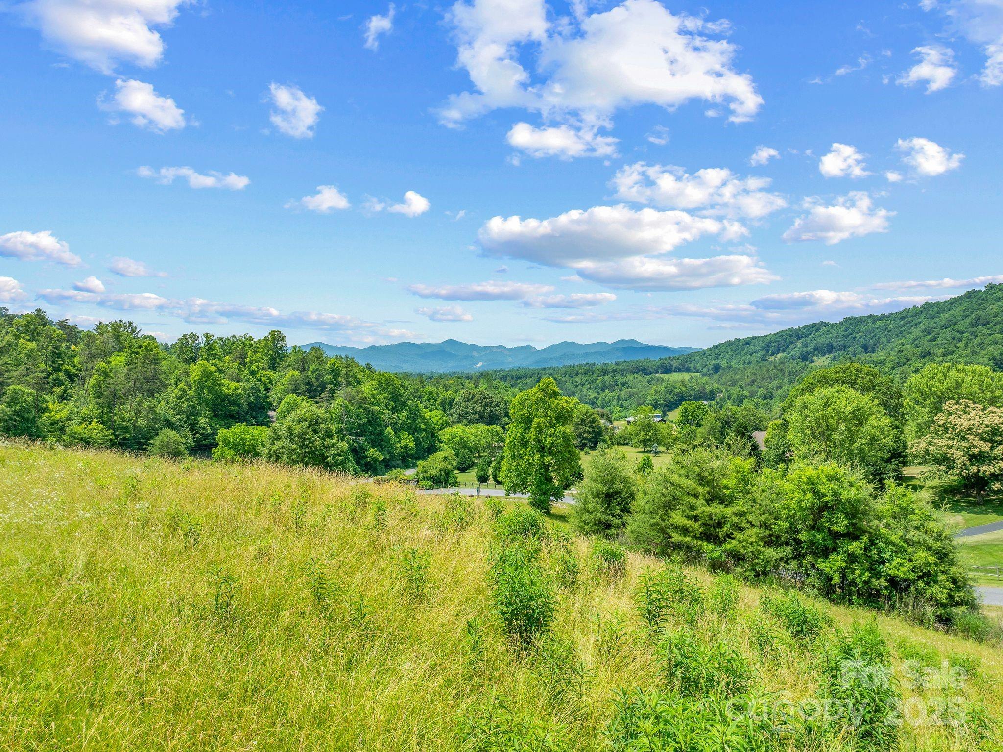 82 Seven Glens Drive Weaverville NC 28787