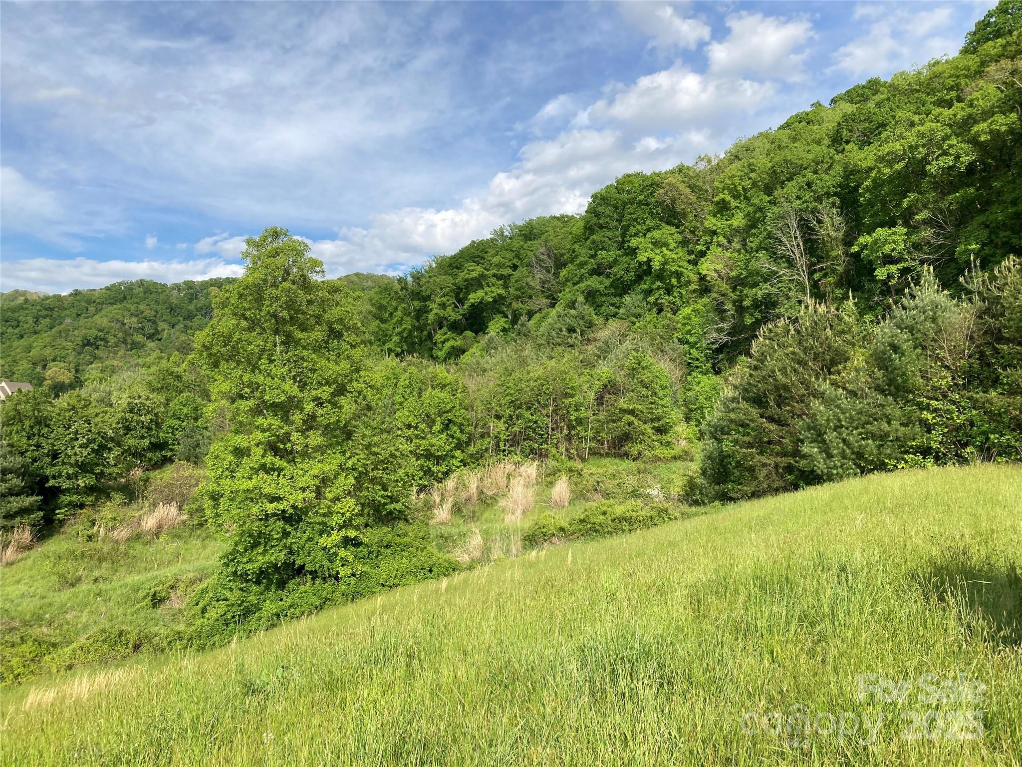 82 Seven Glens Drive Weaverville NC 28787