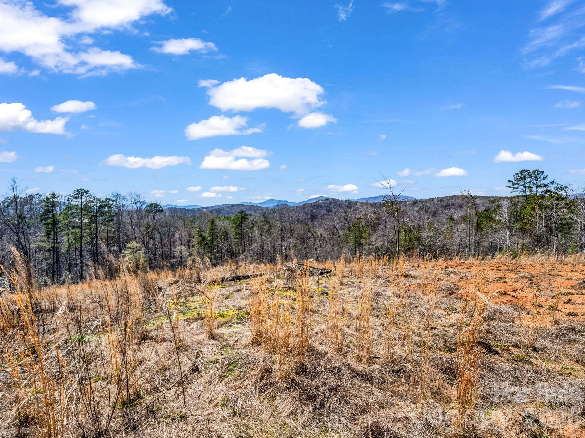 00 Shady Bark Lane Rutherfordton NC 28139