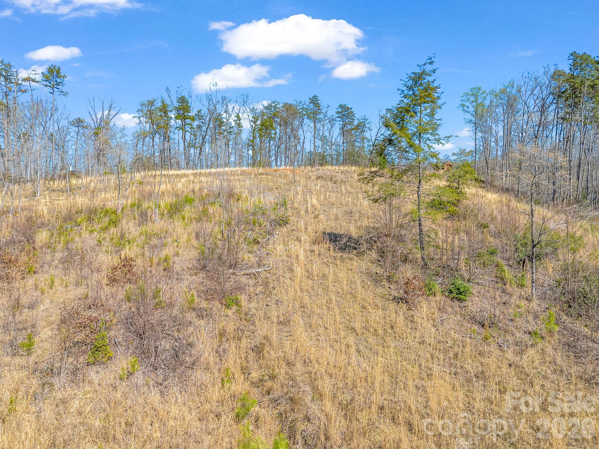 00 Shady Bark Lane Rutherfordton NC 28139