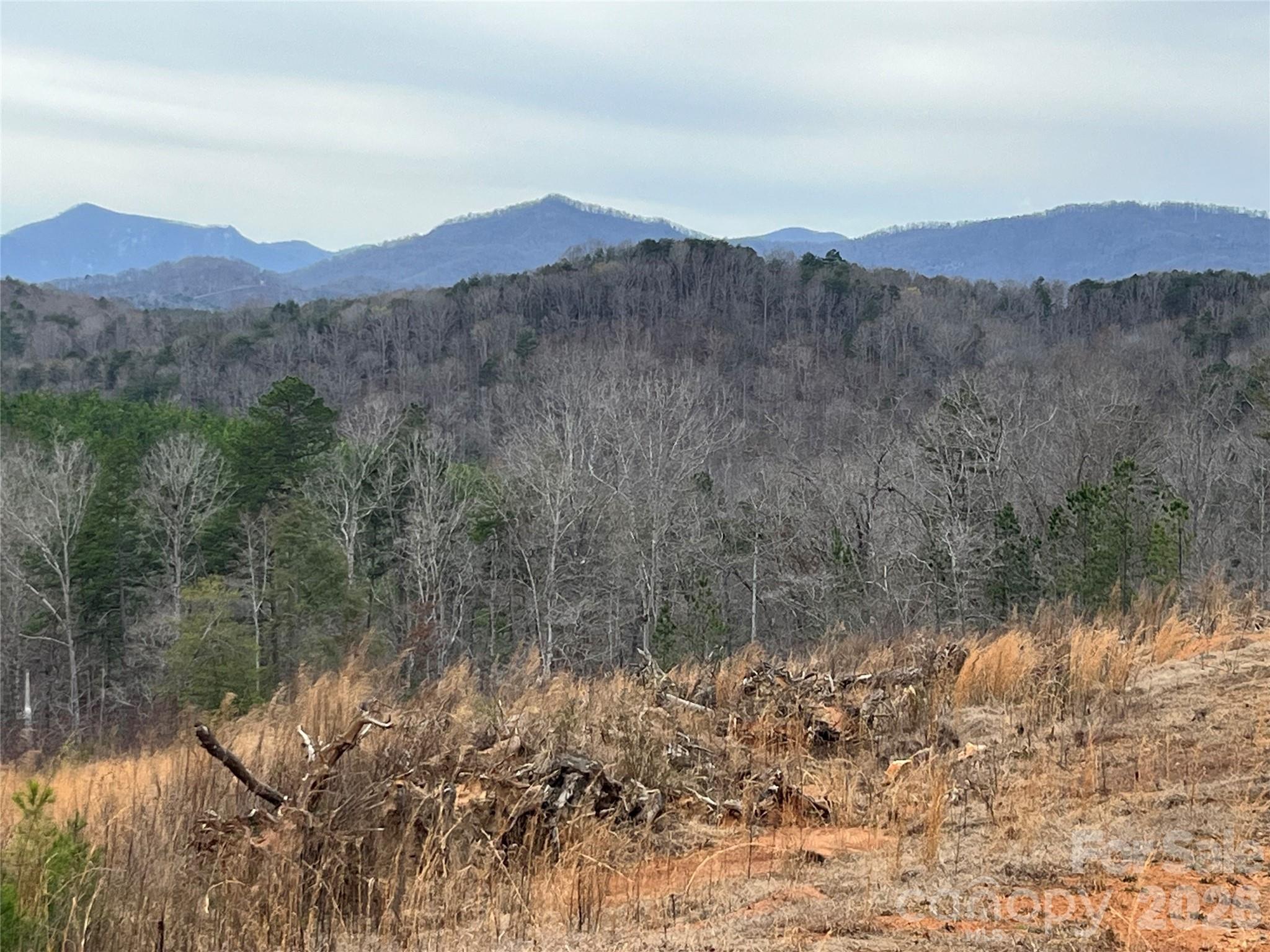 00 Shady Bark Lane Rutherfordton NC 28139