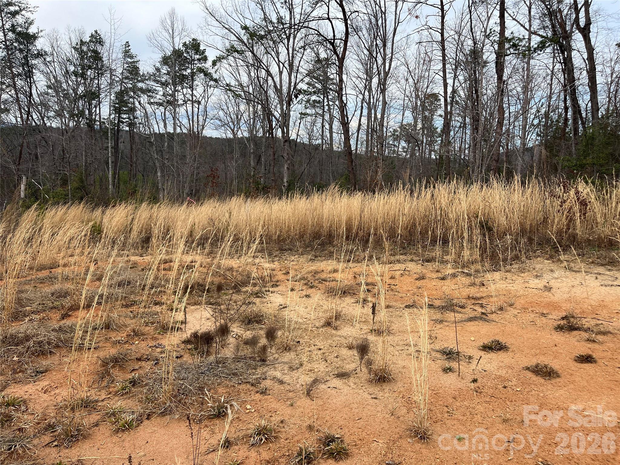 00 Shady Bark Lane Rutherfordton NC 28139
