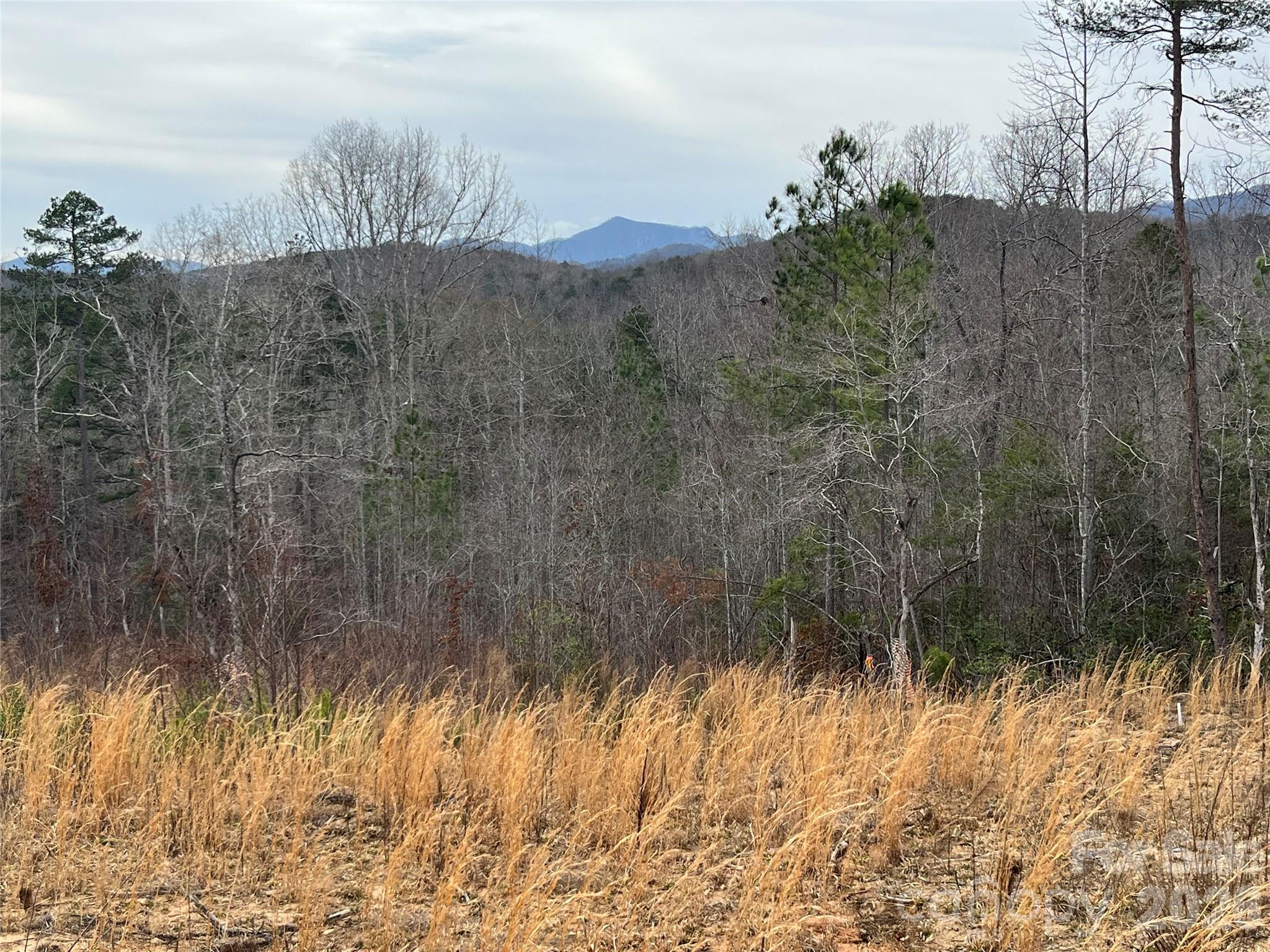 00 Shady Bark Lane Rutherfordton NC 28139