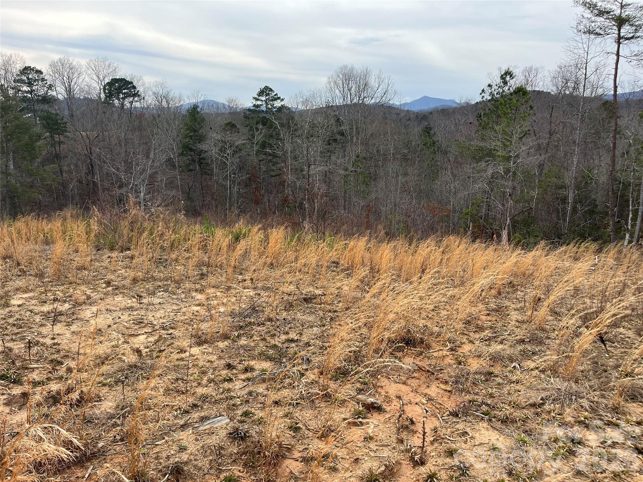 00 Shady Bark Lane Rutherfordton NC 28139