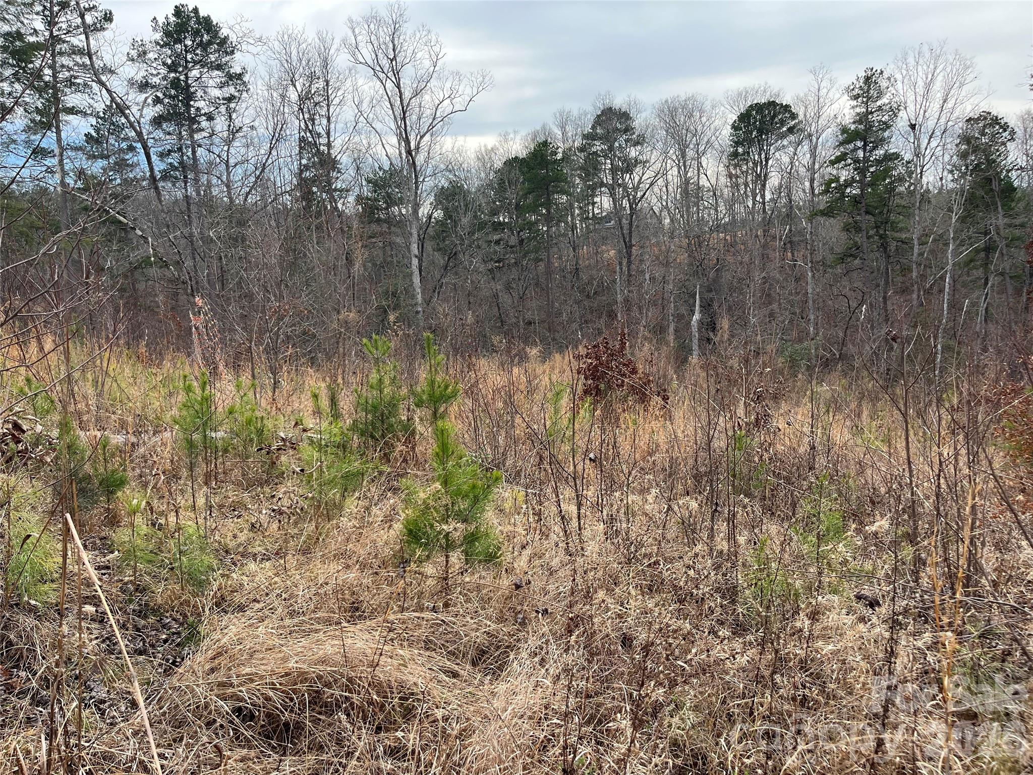 00 Shady Bark Lane Rutherfordton NC 28139