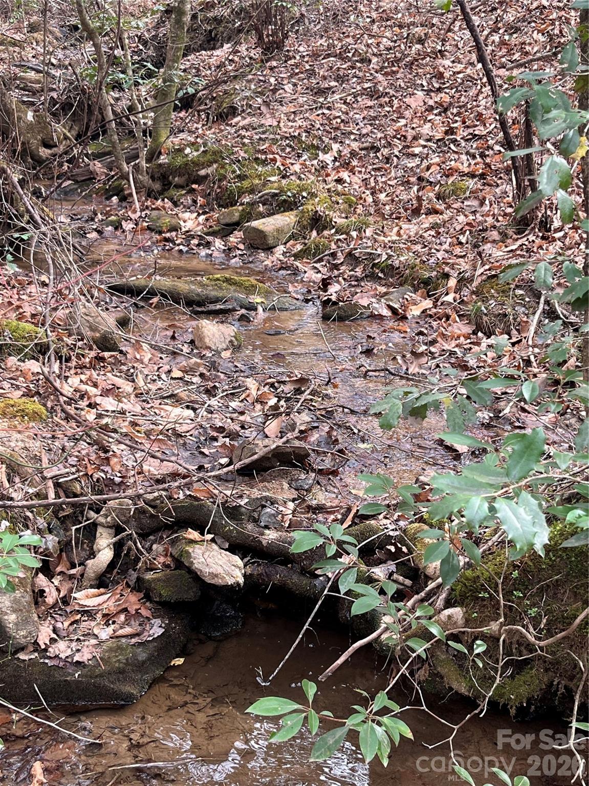 00 Shady Bark Lane Rutherfordton NC 28139