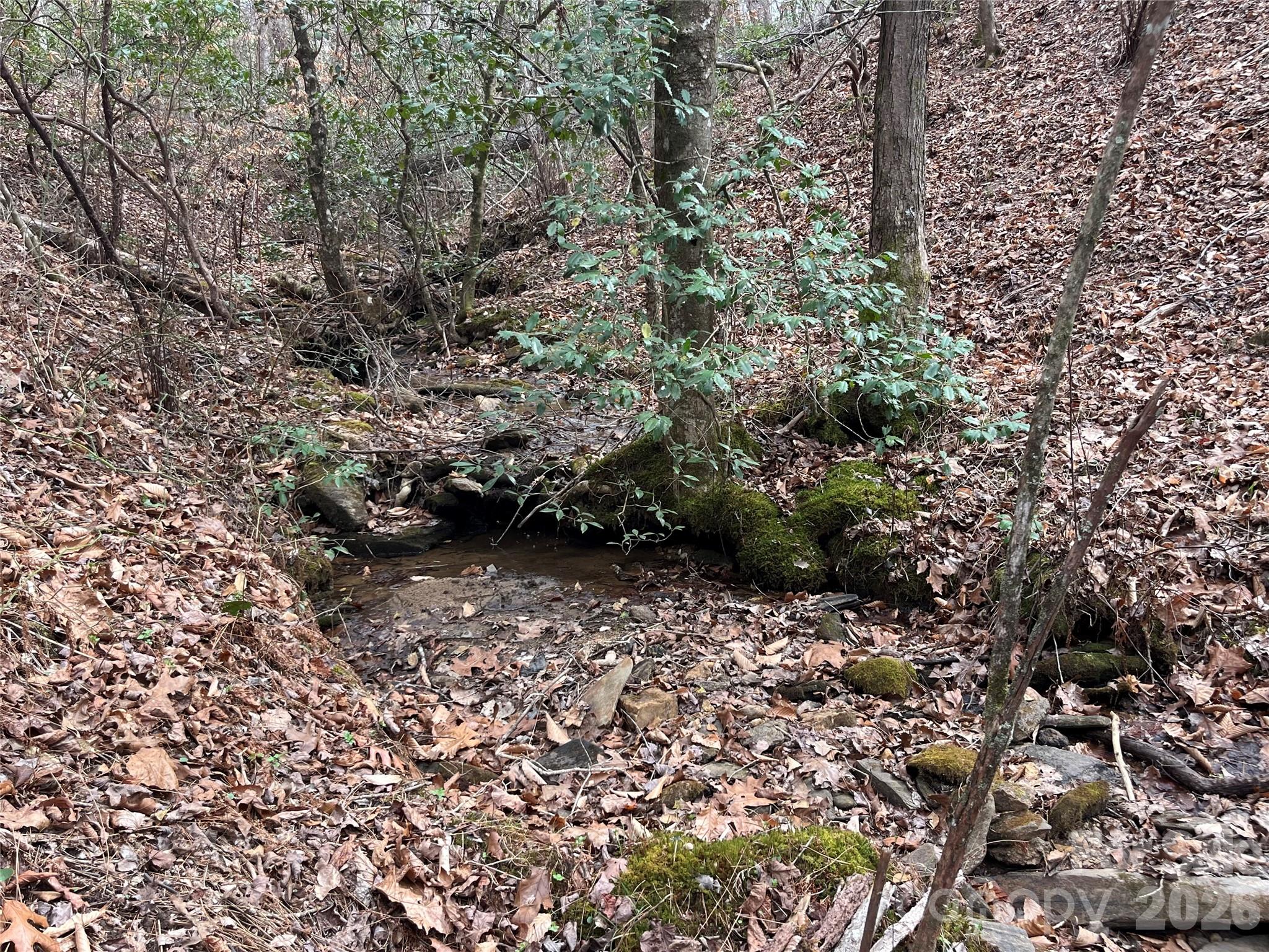 00 Shady Bark Lane Rutherfordton NC 28139