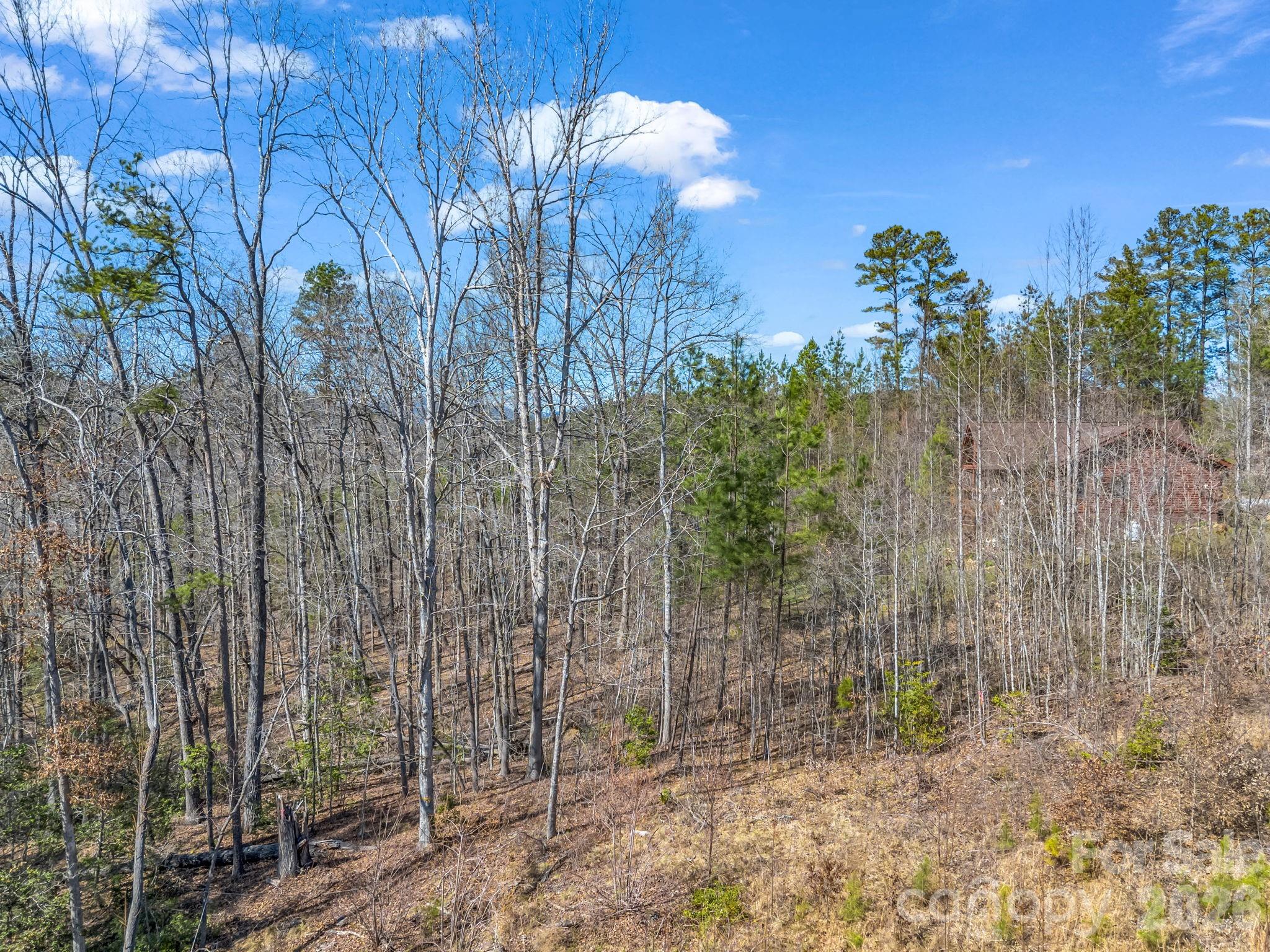 00 Shady Bark Lane Rutherfordton NC 28139