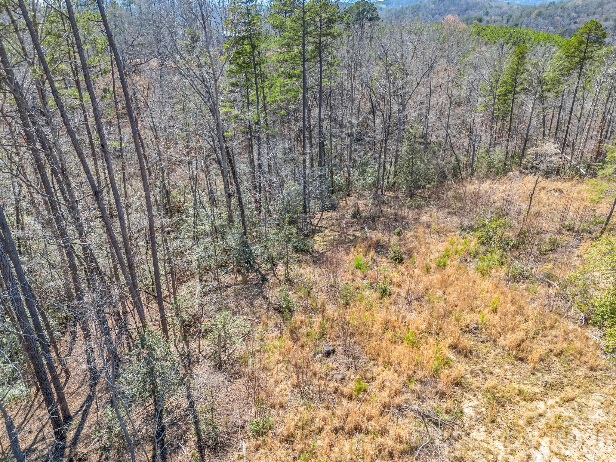 00 Shady Bark Lane Rutherfordton NC 28139