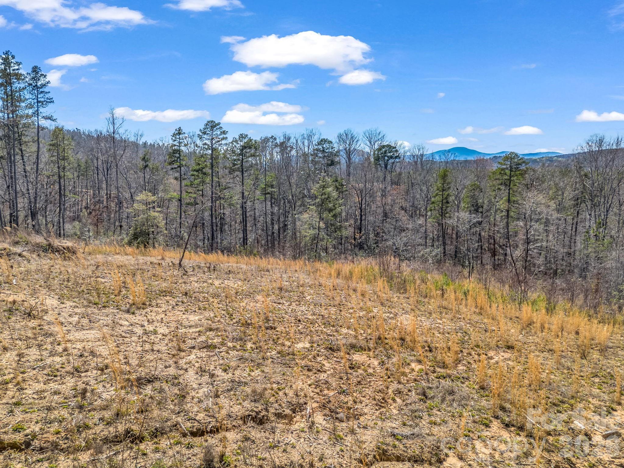 00 Shady Bark Lane Rutherfordton NC 28139