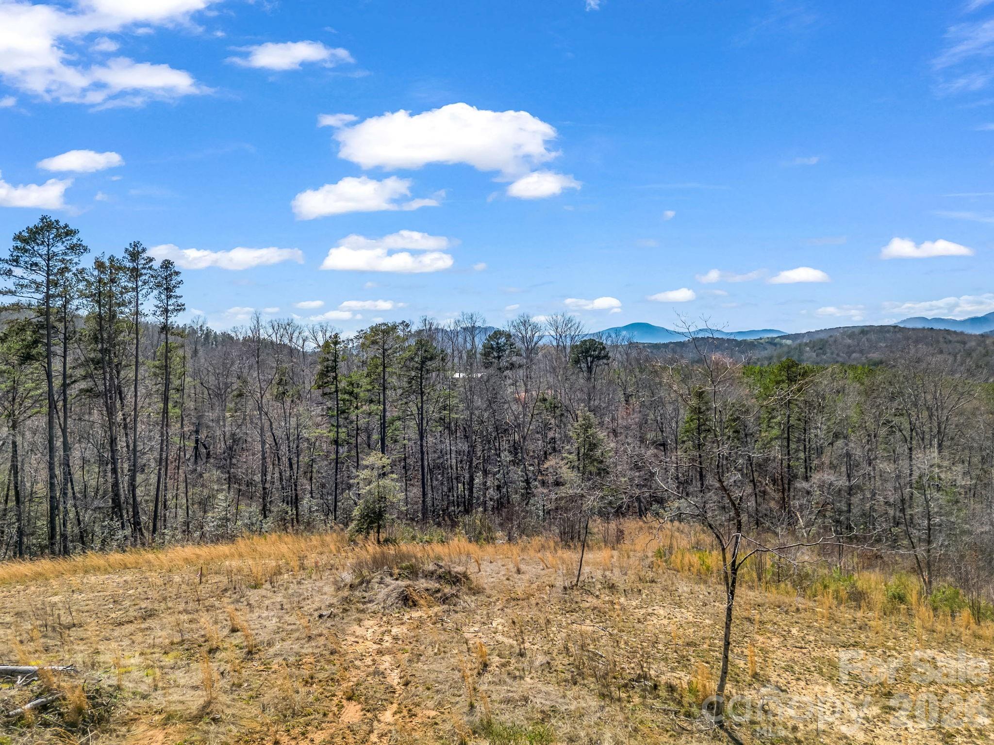 00 Shady Bark Lane Rutherfordton NC 28139