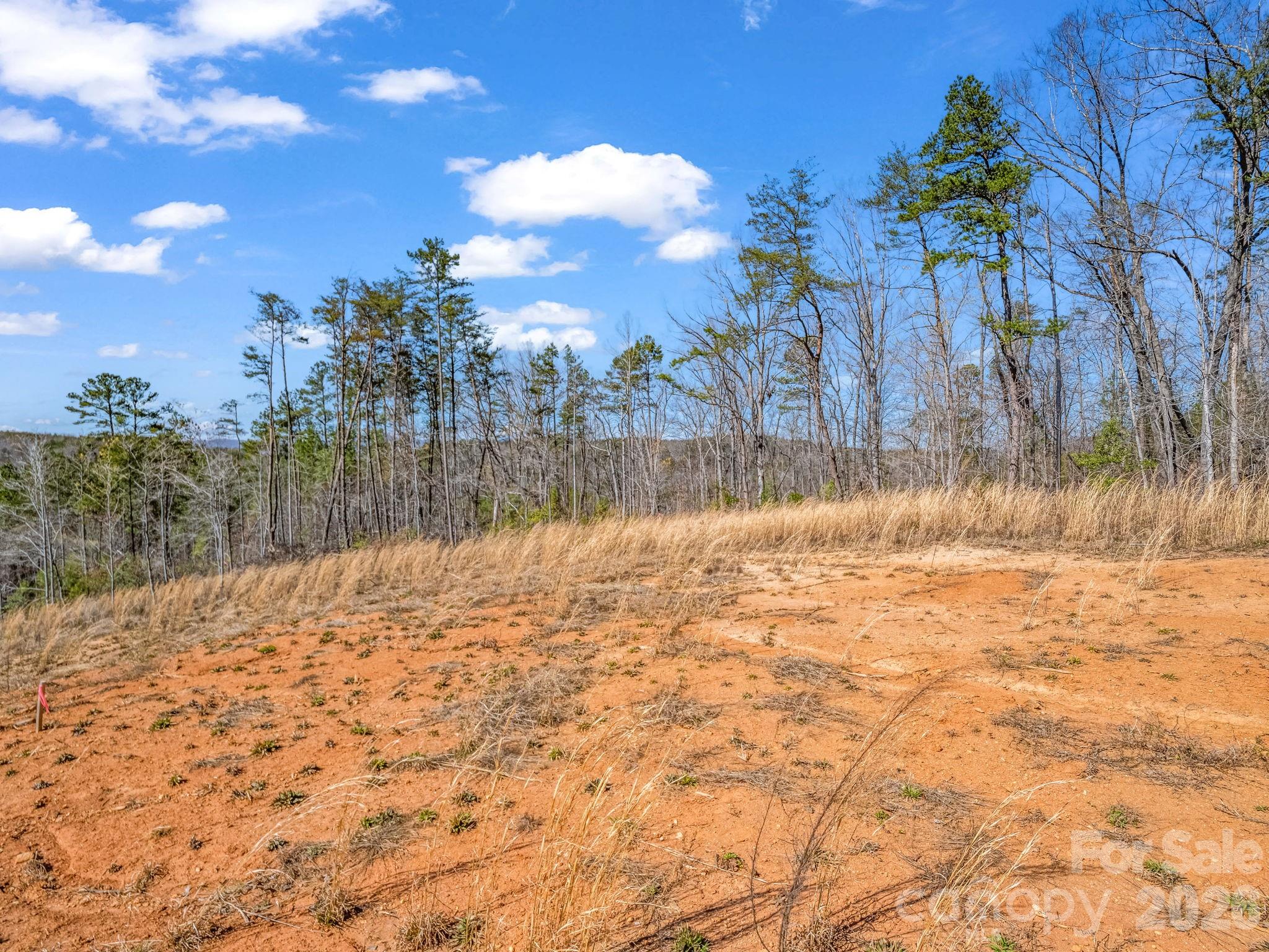 00 Shady Bark Lane Rutherfordton NC 28139