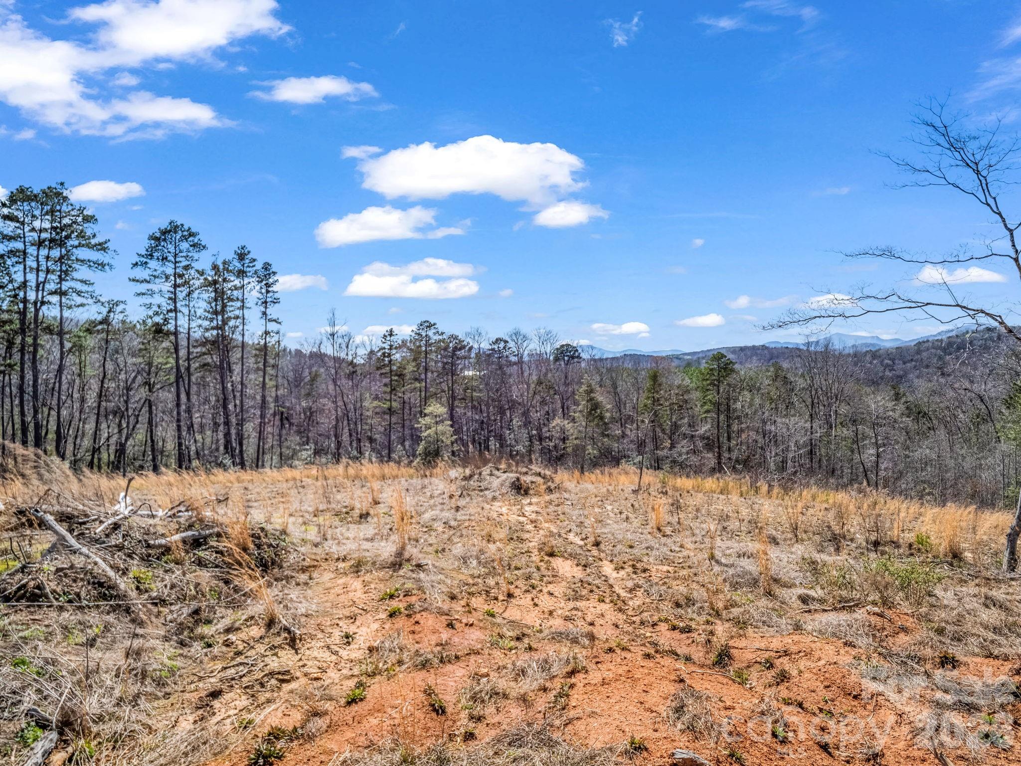 00 Shady Bark Lane Rutherfordton NC 28139