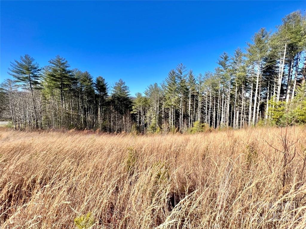 1.85 Acres Lot 154 Rocky Falls Lane Lenoir NC 28645