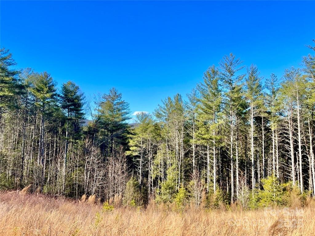1.85 Acres Lot 154 Rocky Falls Lane Lenoir NC 28645