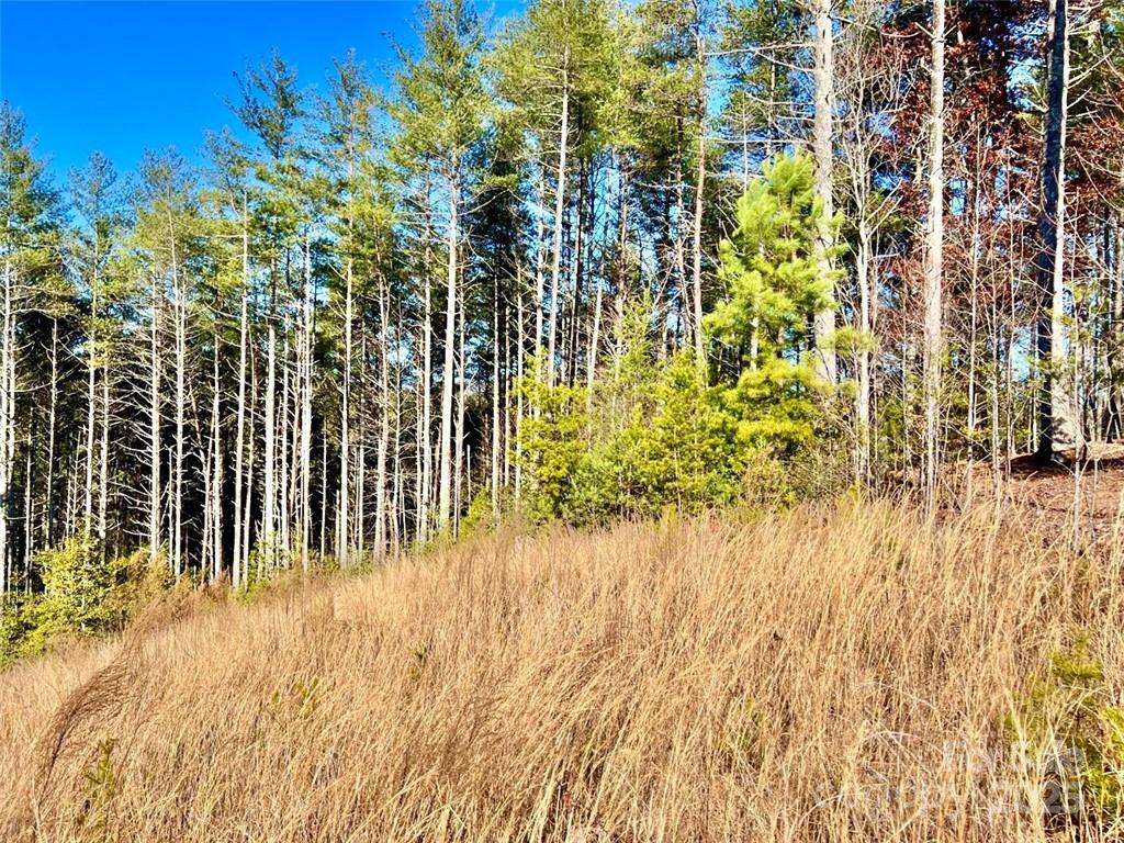 1.85 Acres Lot 154 Rocky Falls Lane Lenoir NC 28645