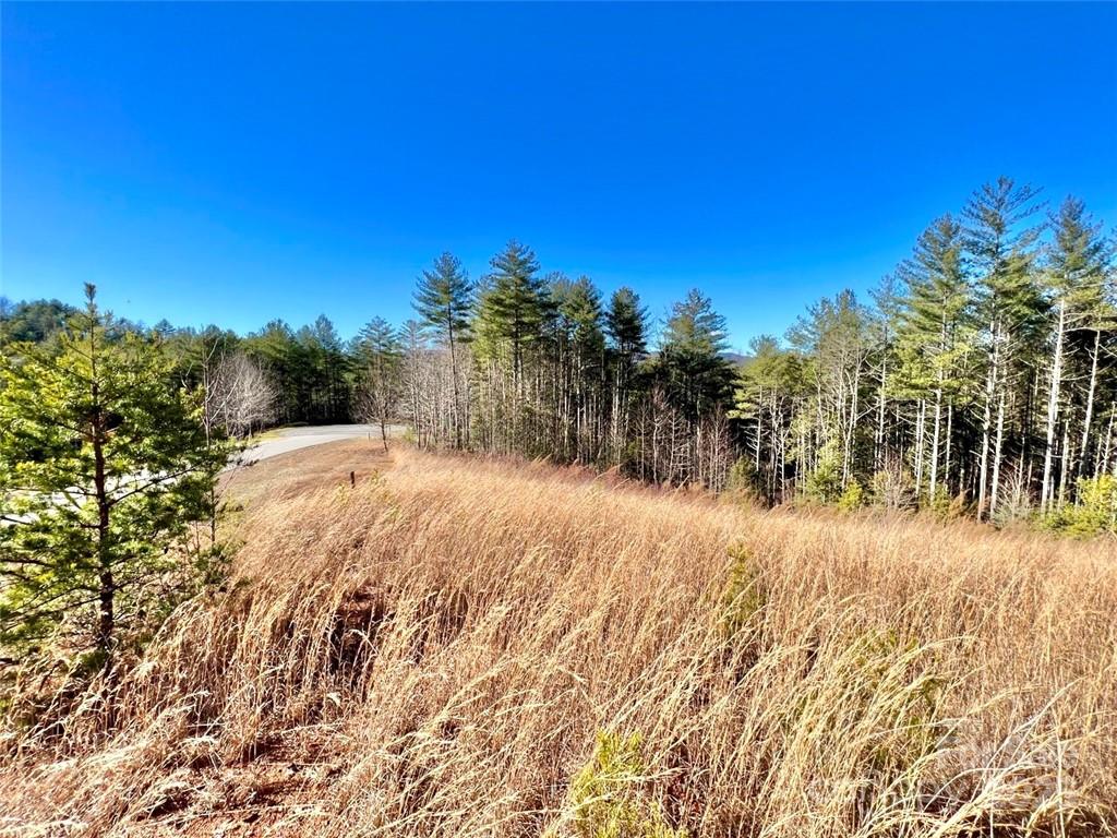 1.85 Acres Lot 154 Rocky Falls Lane Lenoir NC 28645