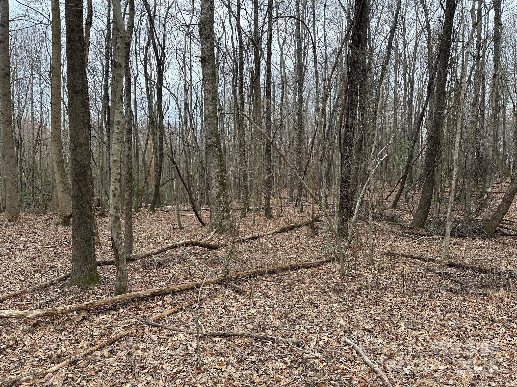 00 Austin Traphill Road Elkin NC 28621