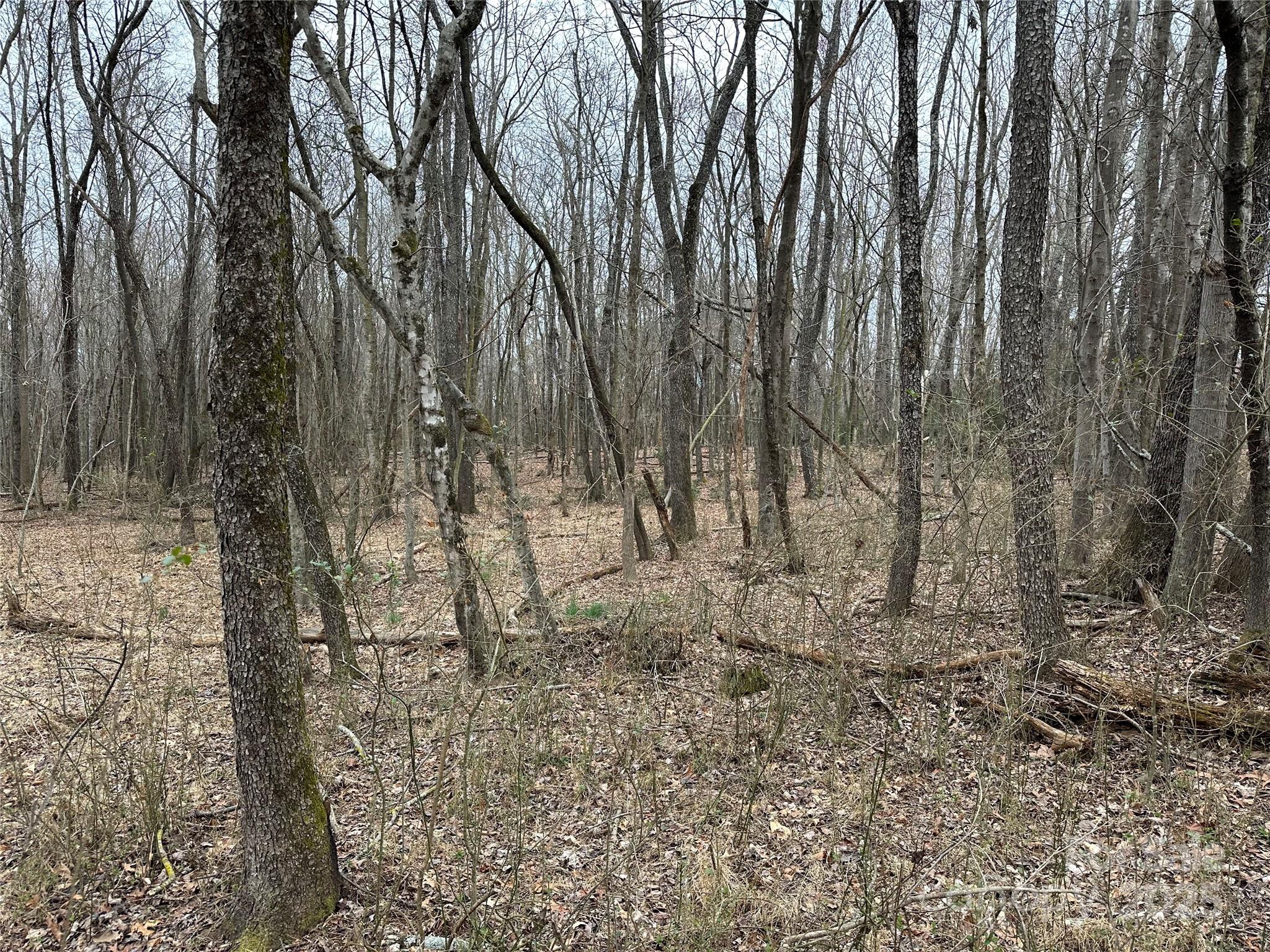 00 Austin Traphill Road Elkin NC 28621