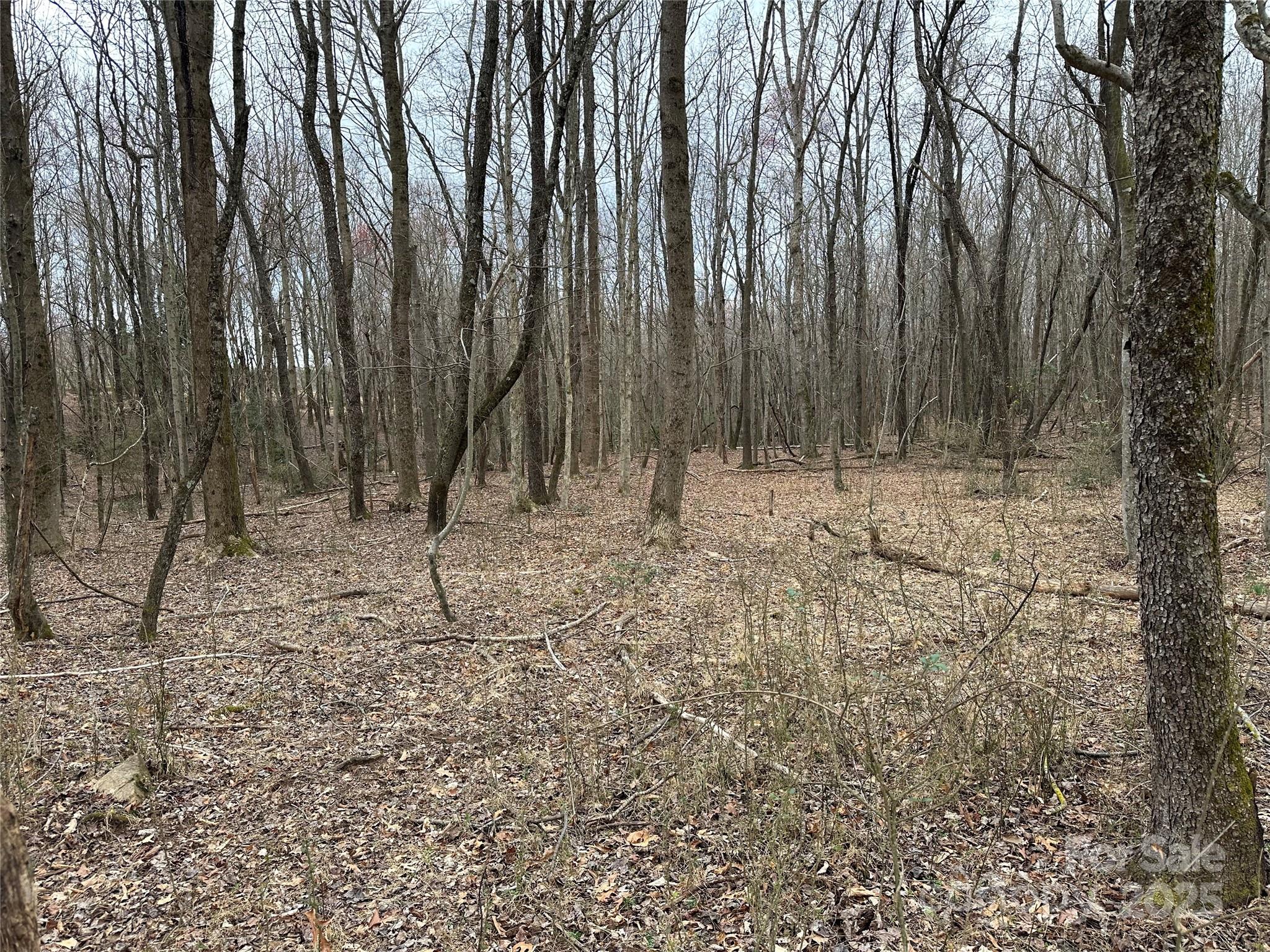 00 Austin Traphill Road Elkin NC 28621