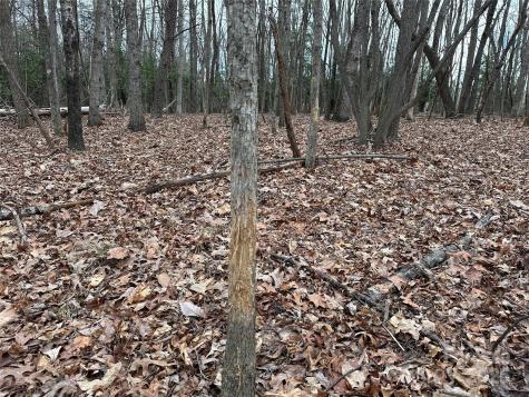 00 Austin Traphill Road Elkin NC 28621