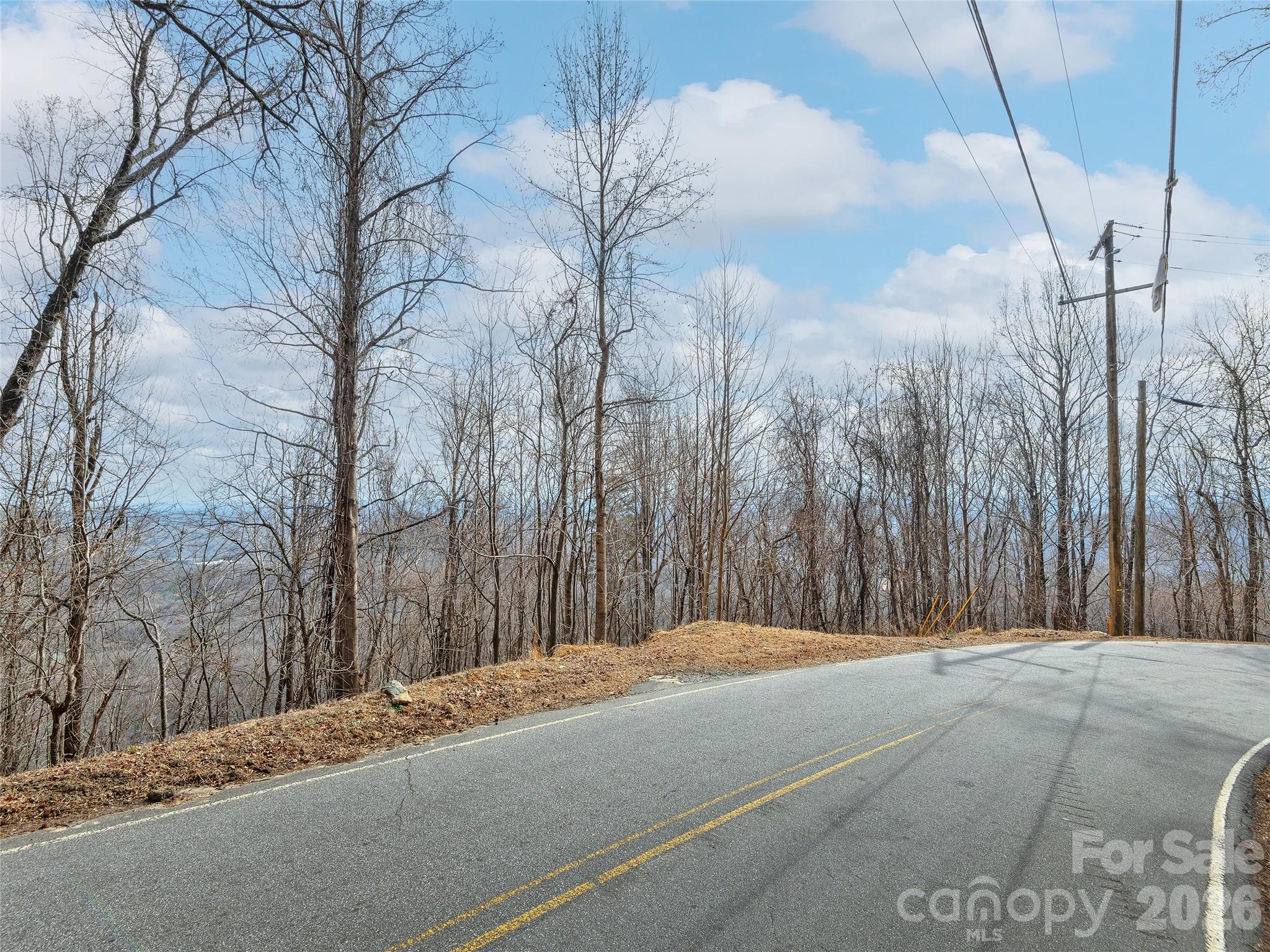 Lot 56 White Oak Mountain Road Columbus NC 28722