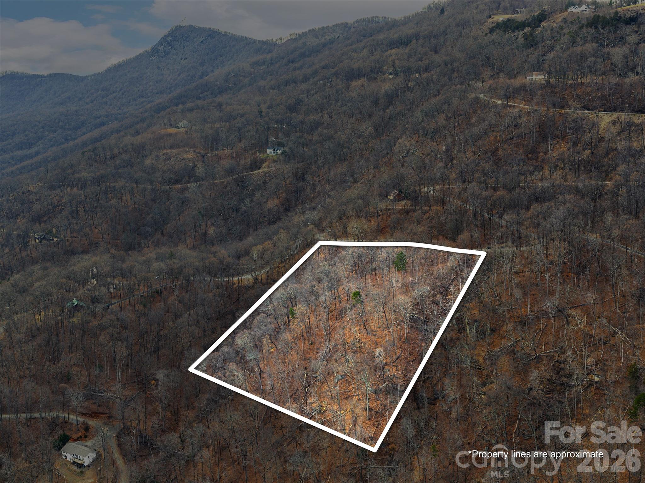 Lot 56 White Oak Mountain Road Columbus NC 28722