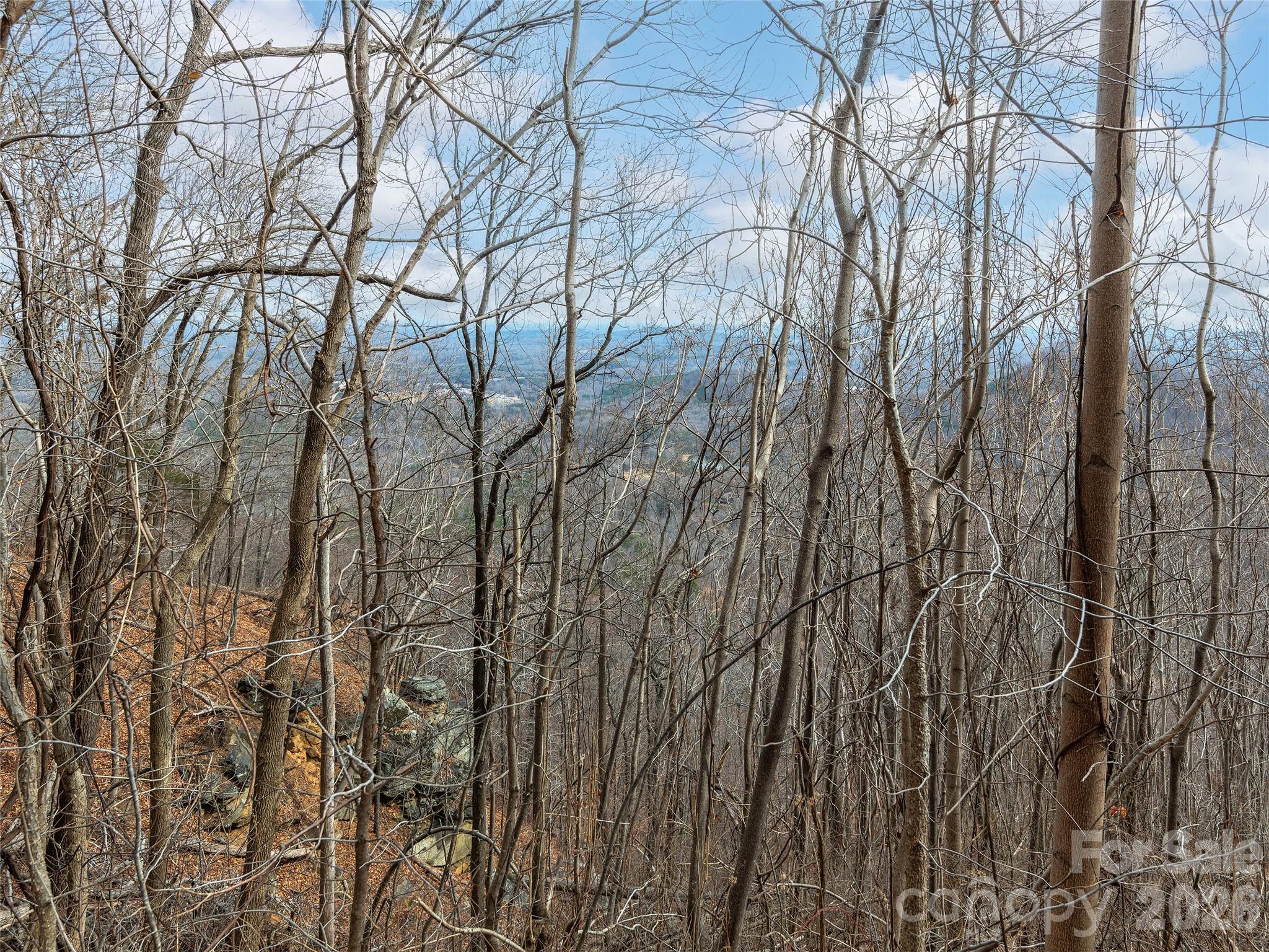 Lot 56 White Oak Mountain Road Columbus NC 28722