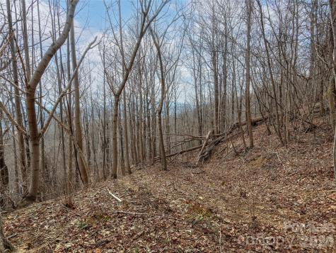 Lot 56 White Oak Mountain Road Columbus NC 28722