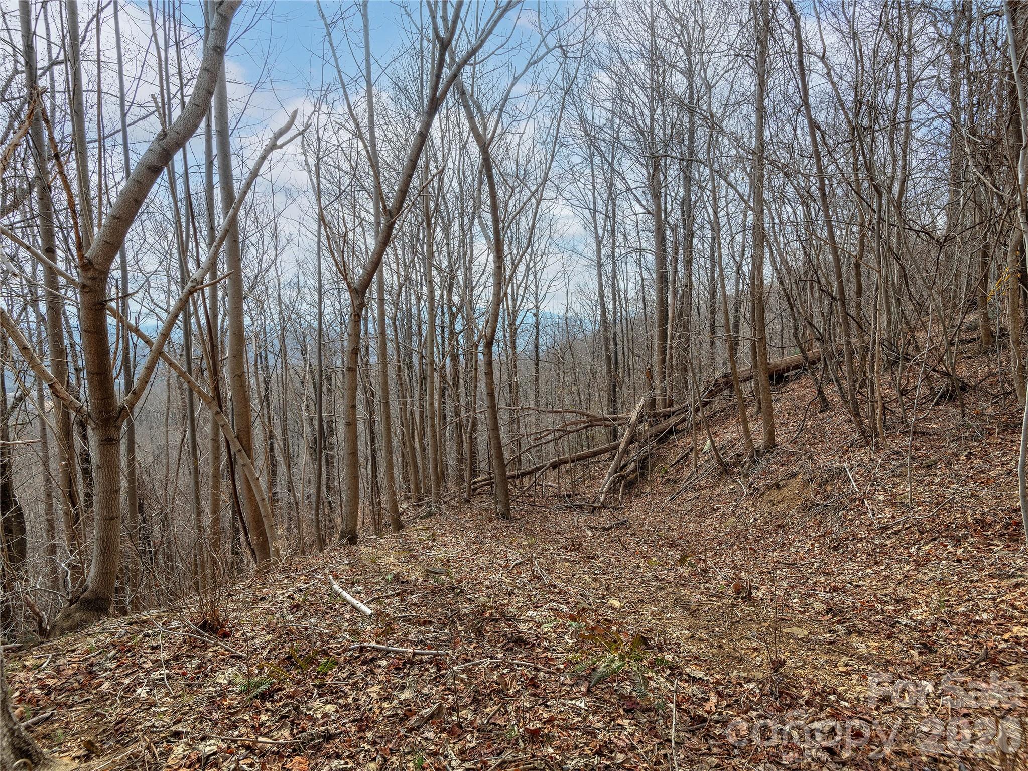 Lot 56 White Oak Mountain Road Columbus NC 28722