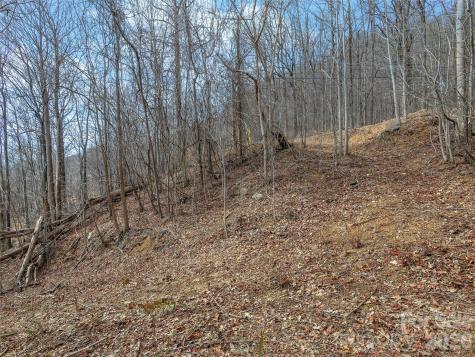 Lot 56 White Oak Mountain Road Columbus NC 28722