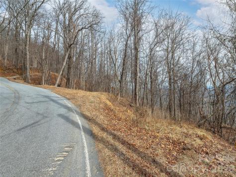 Lot 56 White Oak Mountain Road Columbus NC 28722