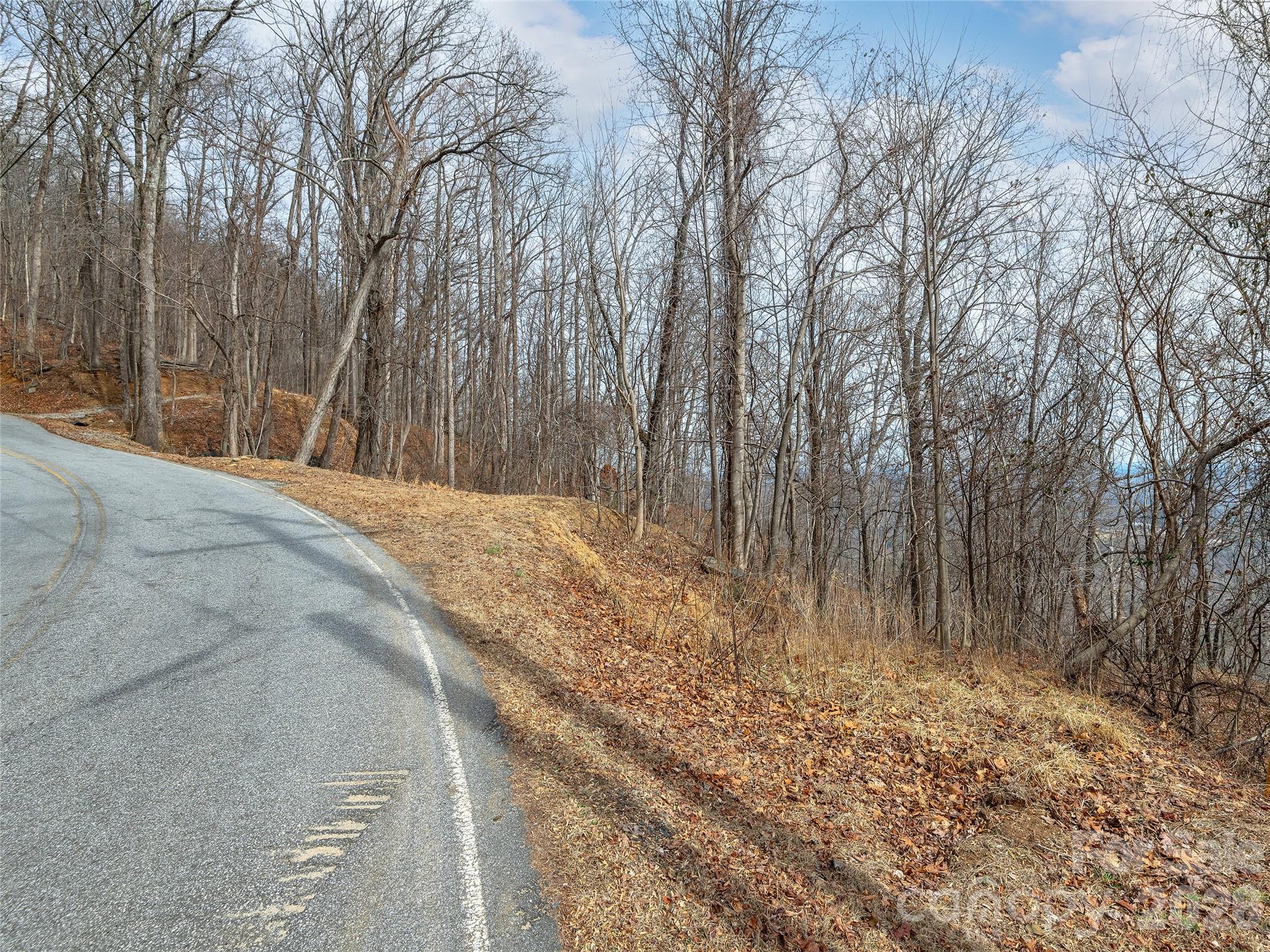 Lot 56 White Oak Mountain Road Columbus NC 28722