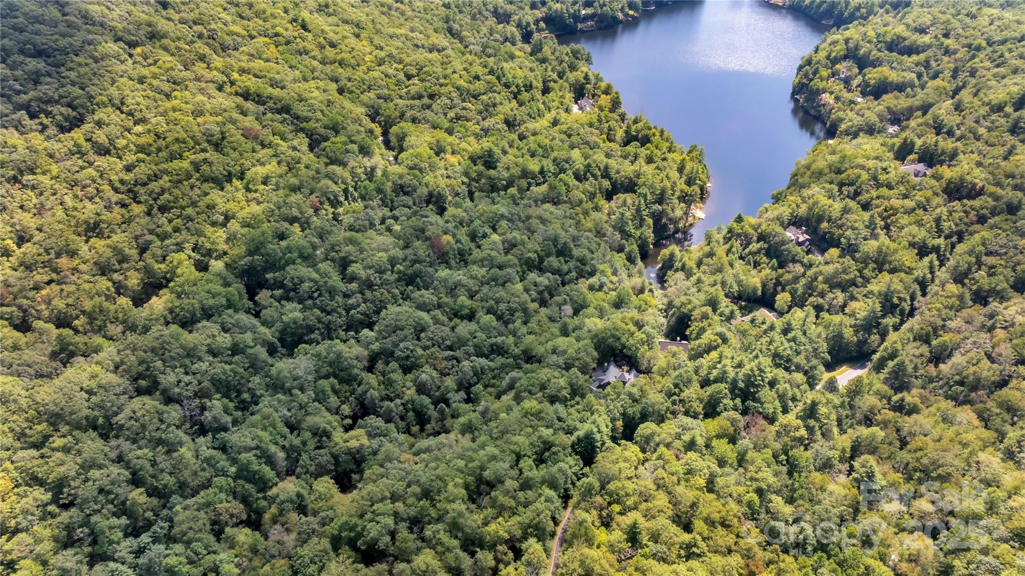 Tbd Cardinal Drive Lake Toxaway NC 28747