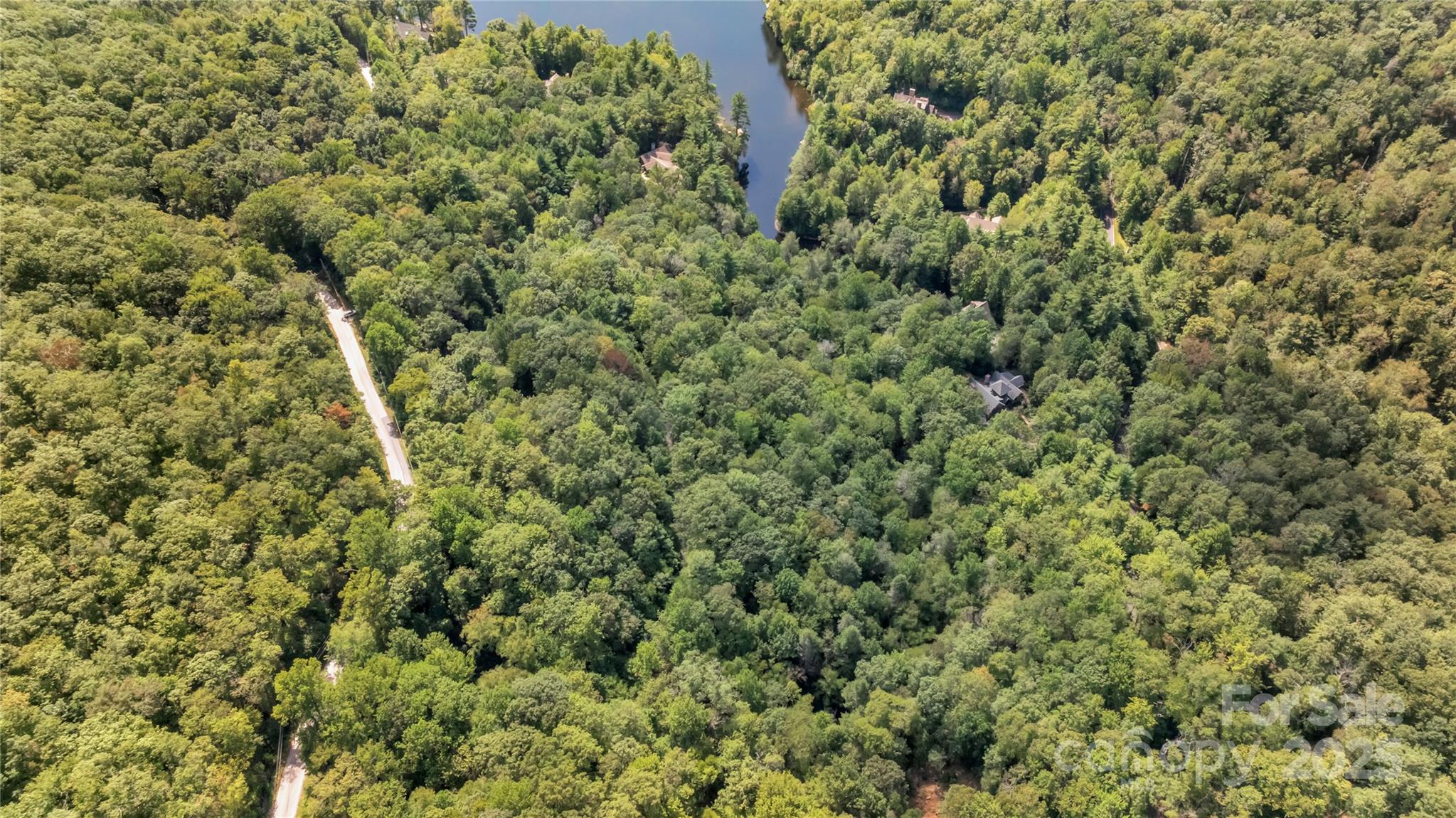 Tbd Cardinal Drive Lake Toxaway NC 28747