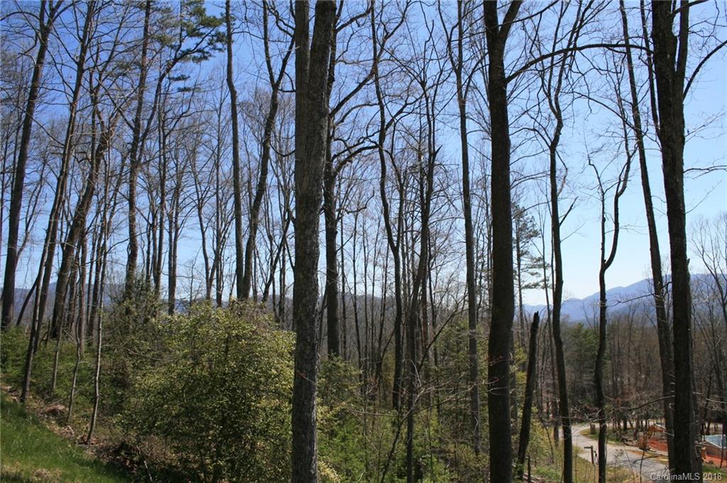 21 Majestic Oak Circle Asheville NC 28805