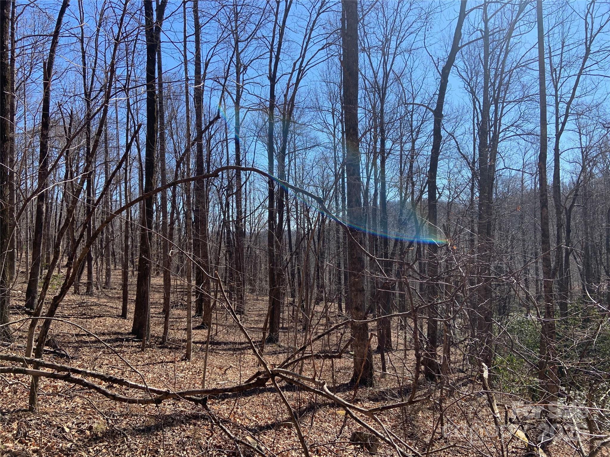 Tbd Glen Ridge Trail Lake Lure NC 28746
