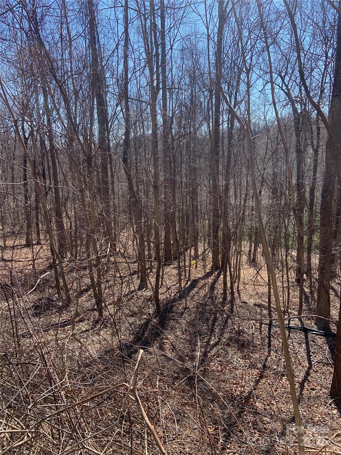 Tbd Glen Ridge Trail Lake Lure NC 28746