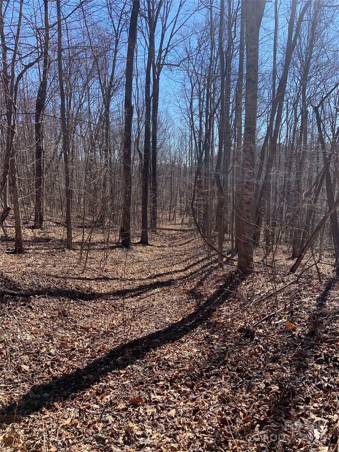 Tbd Glen Ridge Trail Lake Lure NC 28746