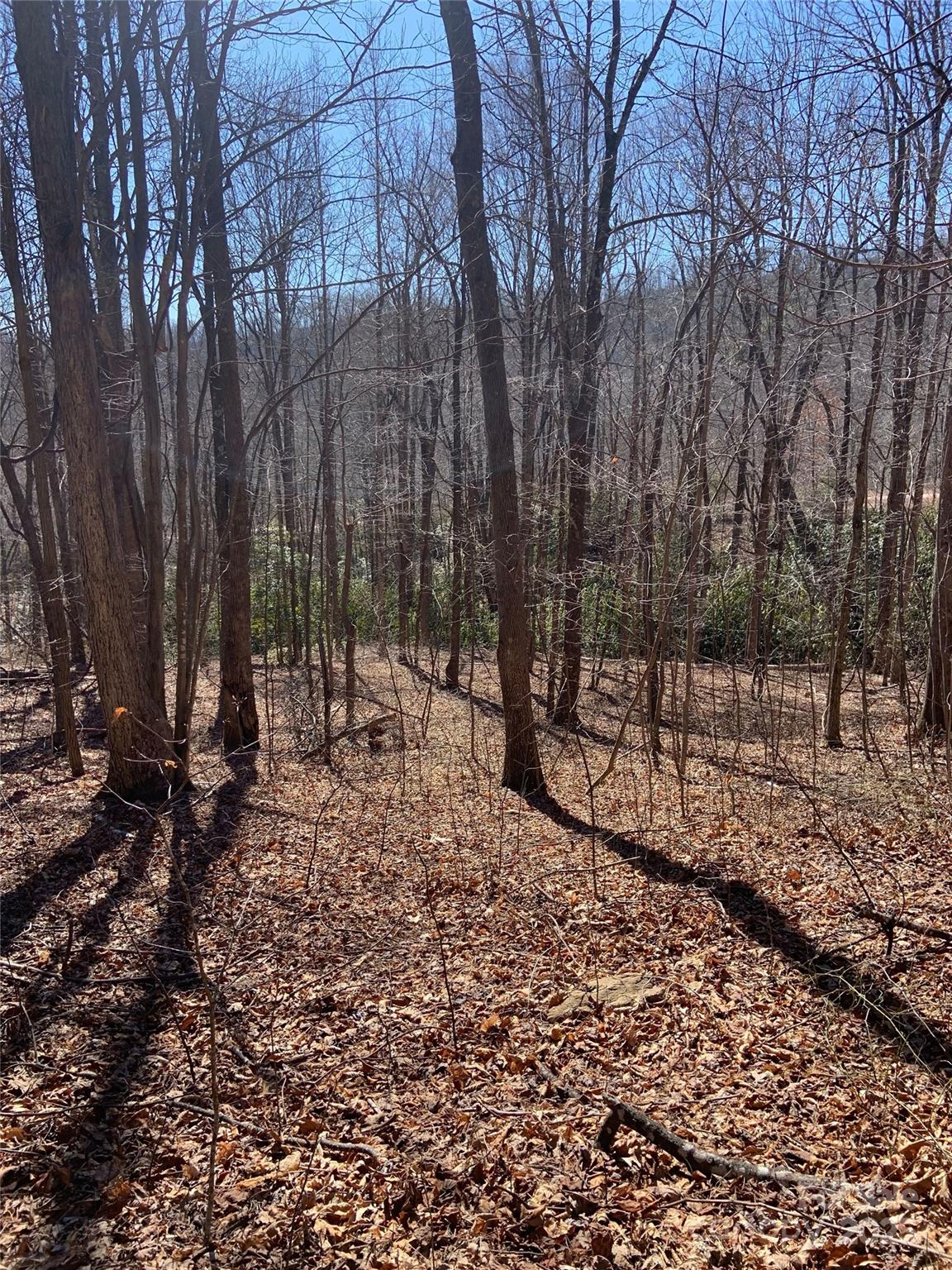Tbd Glen Ridge Trail Lake Lure NC 28746