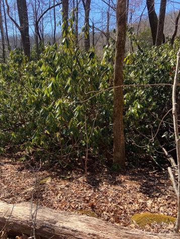 Tbd Glen Ridge Trail Lake Lure NC 28746