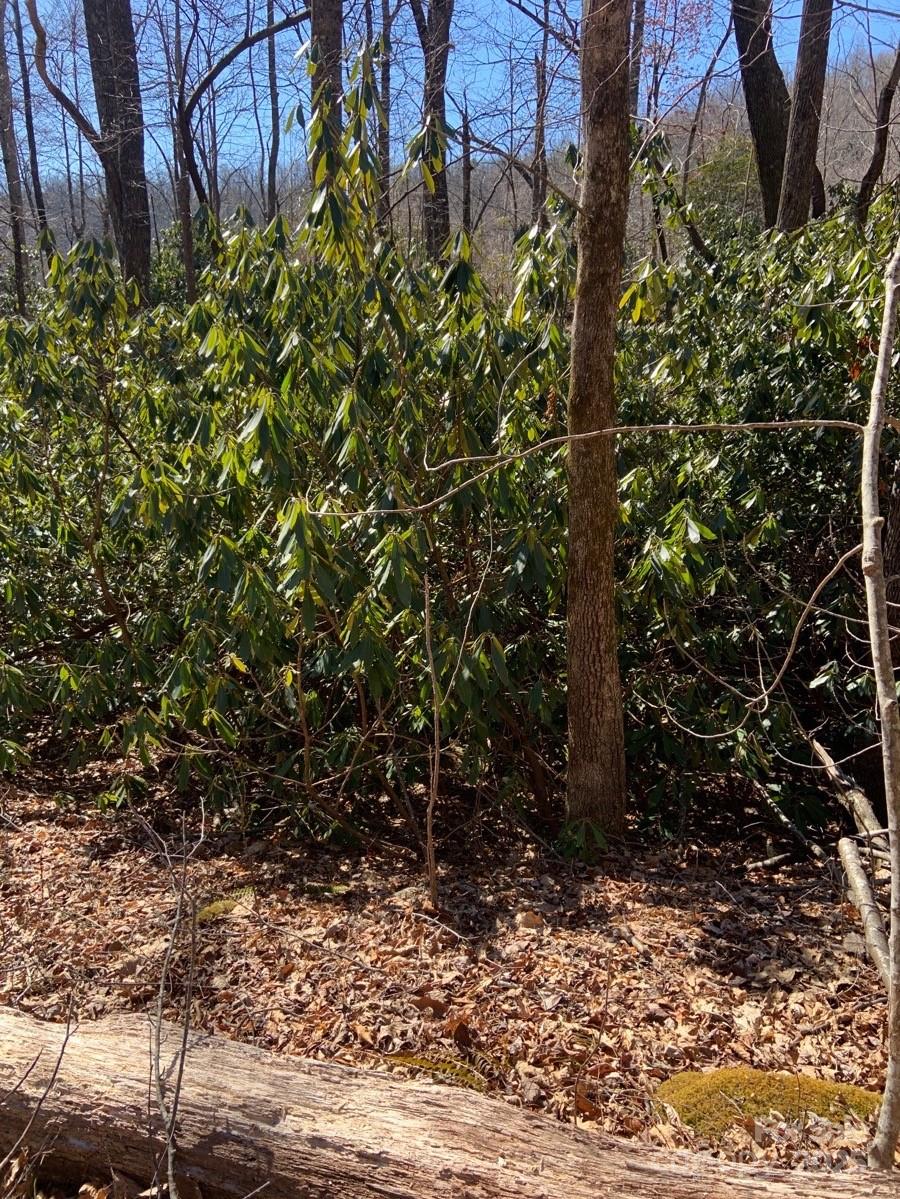 Tbd Glen Ridge Trail Lake Lure NC 28746