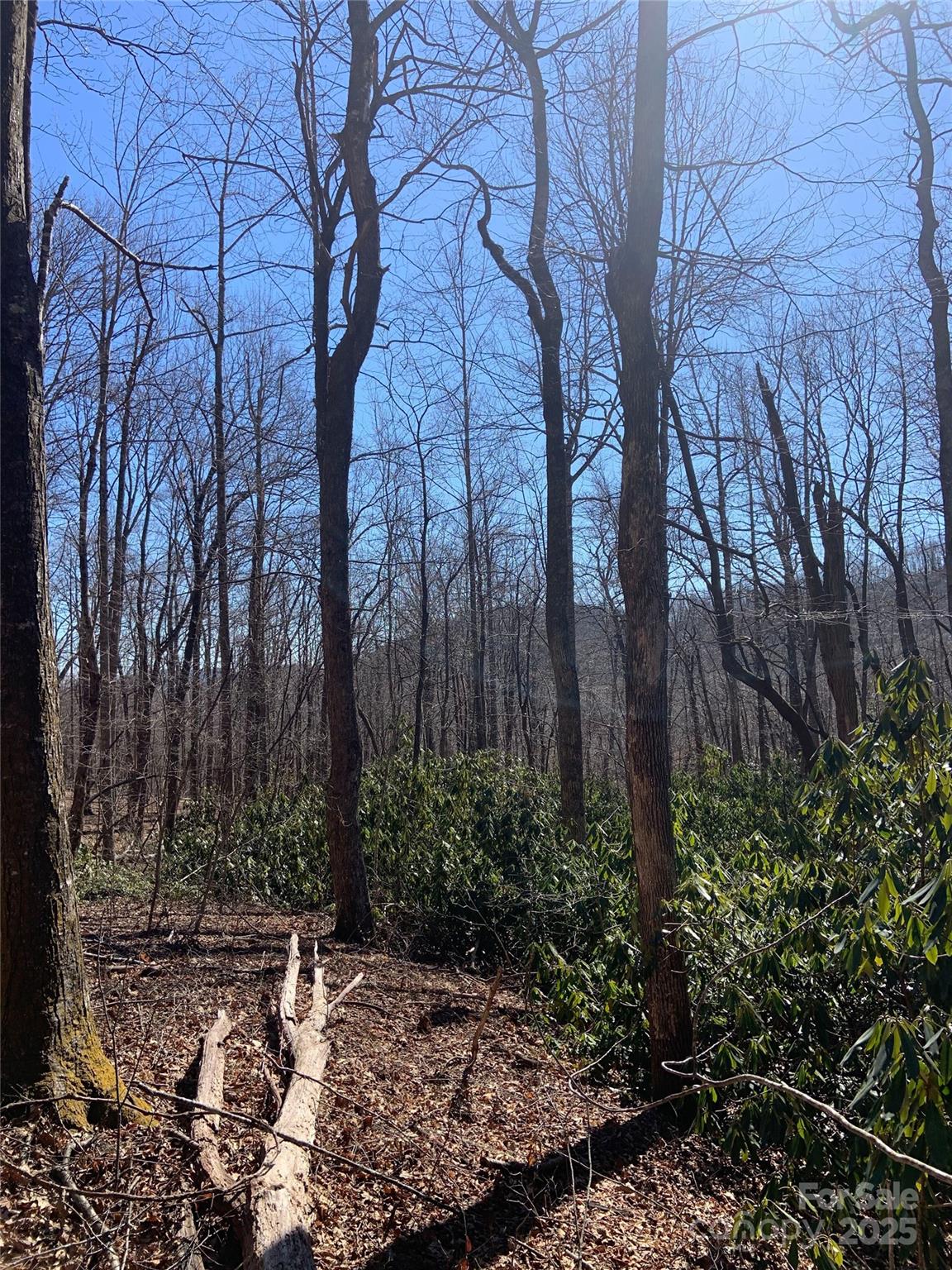 Tbd Glen Ridge Trail Lake Lure NC 28746