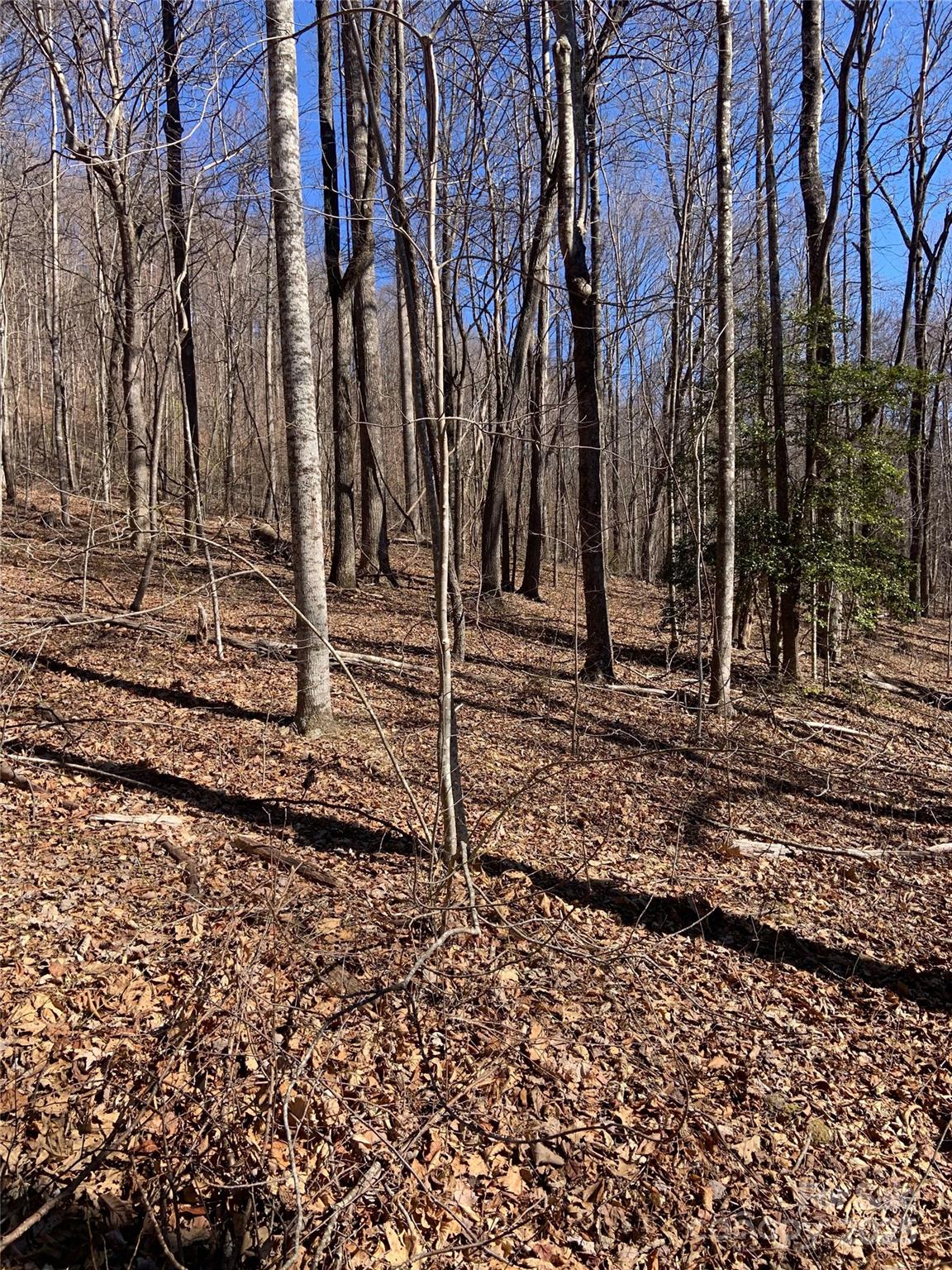 Tbd Glen Ridge Trail Lake Lure NC 28746